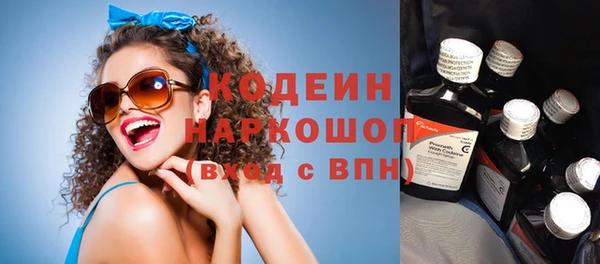 прущие грибы Михайлов