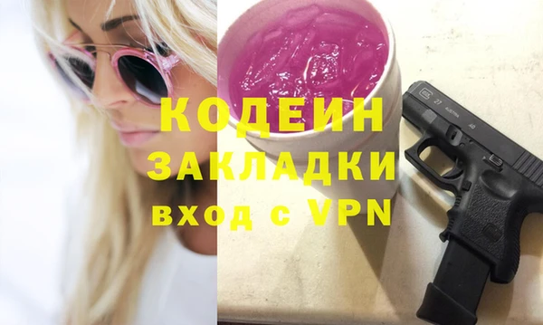 прущие грибы Михайлов