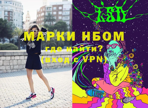 прущие грибы Михайлов