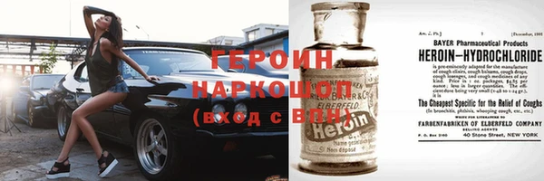 прущие грибы Михайлов