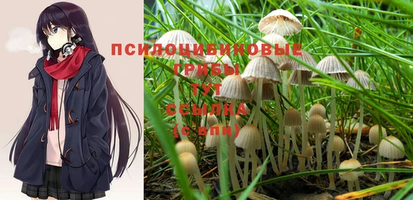 apvp Бежецк