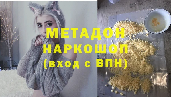 прущие грибы Михайлов