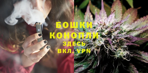 прущие грибы Михайлов