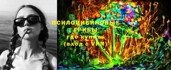 прущие грибы Михайлов