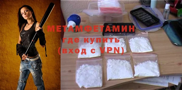 прущие грибы Михайлов