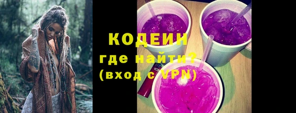 прущие грибы Михайлов