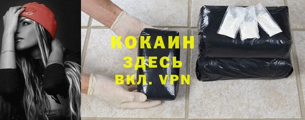 прущие грибы Михайлов